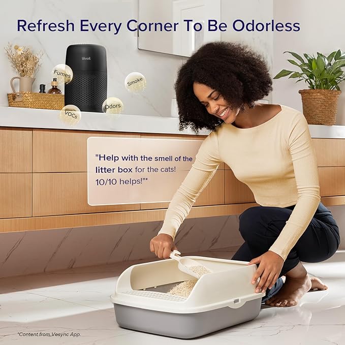 Air Purifiers for Bedroom Home, 3-In-1 Filter Cleaner with Fragrance Sponge for Better Sleep, Filters Smoke, Allergies, Pet Dander, Odor, Dust, Office, Desktop, Portable, Core Mini-P, White